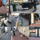 A few of the scooters left around downtown San Francisco.